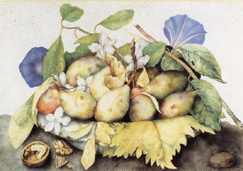 Giovanna Garzoni Plate of Plums with Jasmine and Nuts